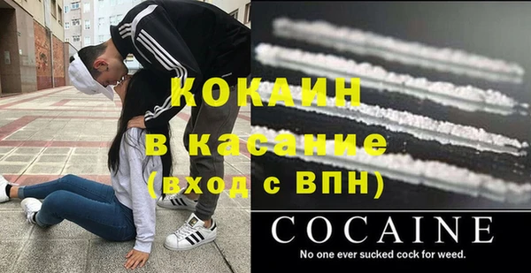 ECSTASY Богданович